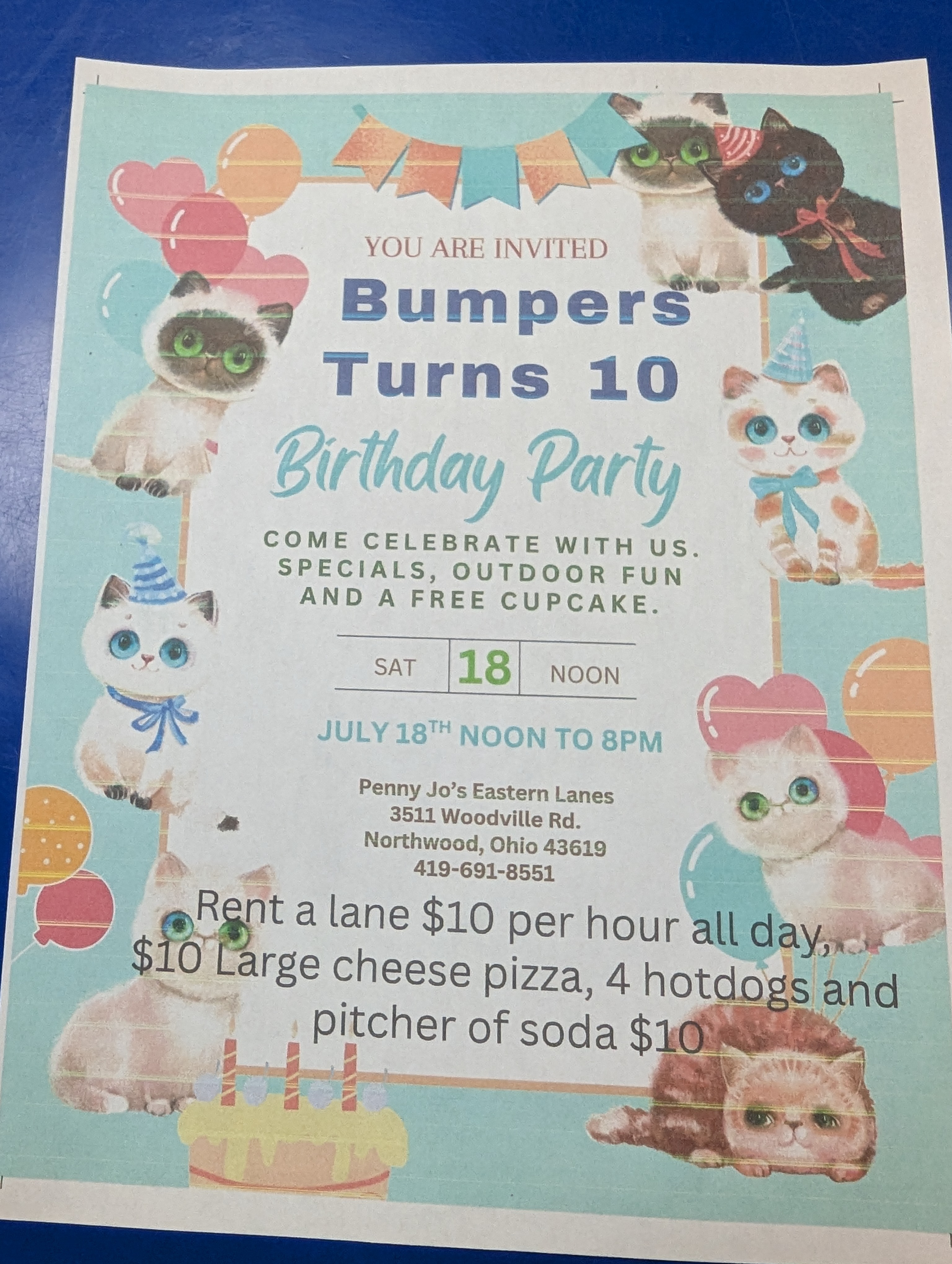 Bumpers Turns 10 Birthday Party Flyer